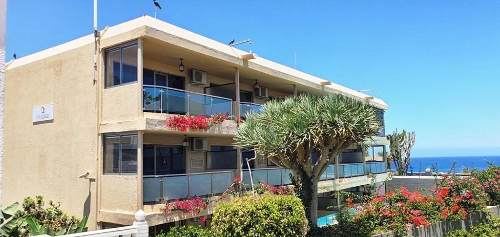 Appartement Alsol Don Palomon *