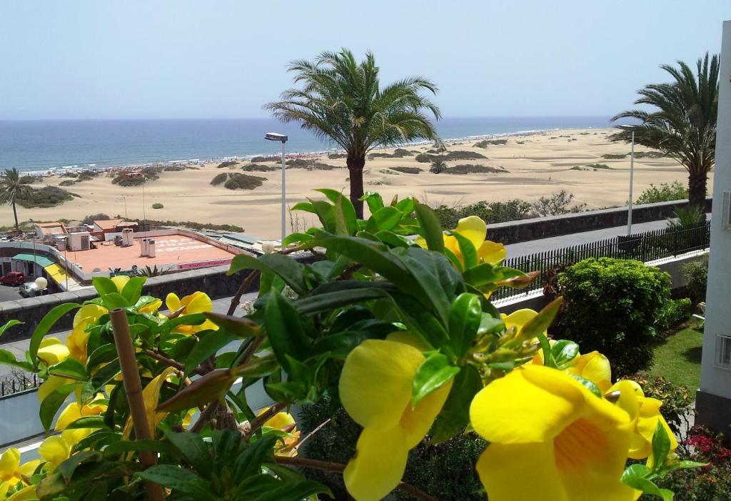Appartement Alsol Don Palomon Playa del Inglés